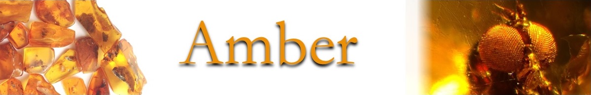 Amber gallery banner